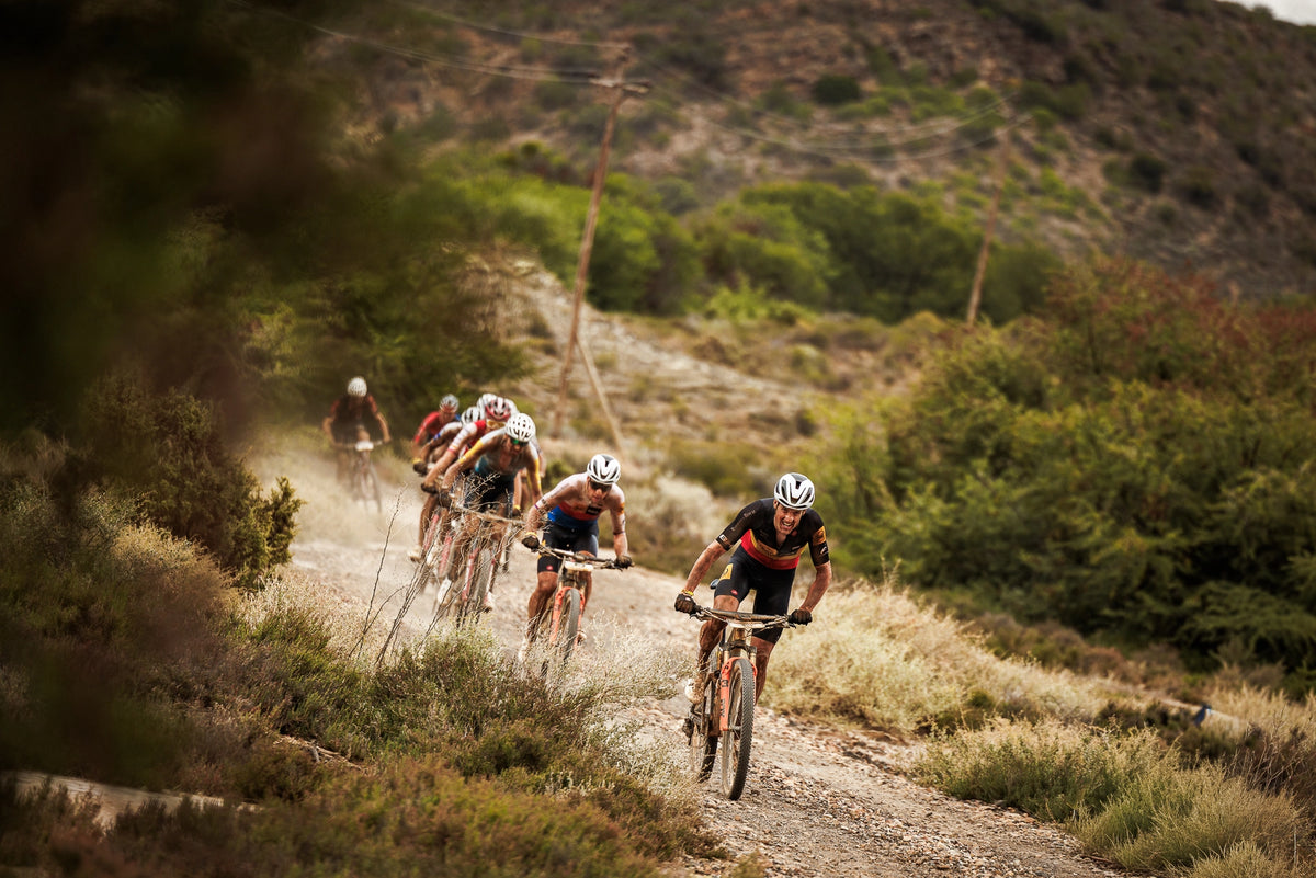 bh, carrera, montaña, mountain bike, arboles